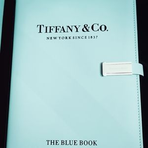 The Blue Book Organizer